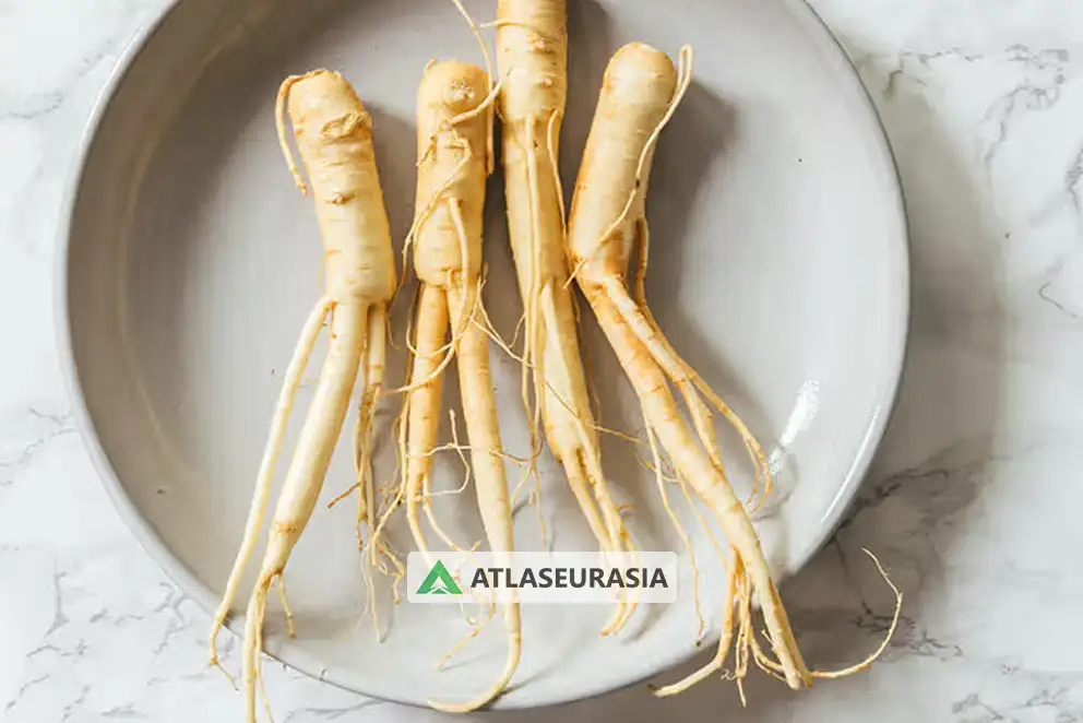 اسانس نوشیدنی - جینسینگ